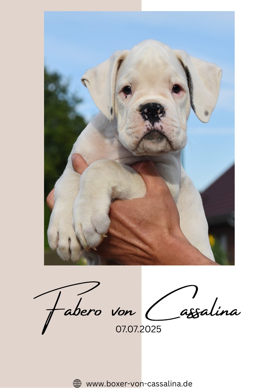 Fabero